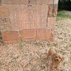 At the end of Leek Branch