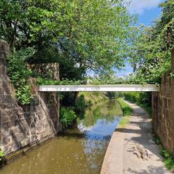 A pipe bridge taken over by meadow plants