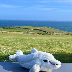 Er möchte ins Wasser, darf aber nicht.