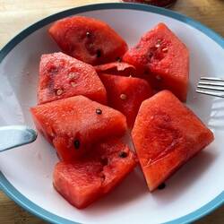 die Wassermelonen schmecken fast so gut wie auf Sansibar