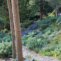 A bit of the botanic gardens I'd missed on my previous visits.
