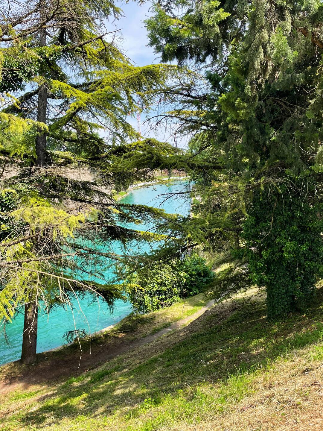 Der türkisblaue Mincio