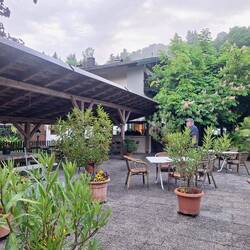 Biergarten bzw. Terrasse