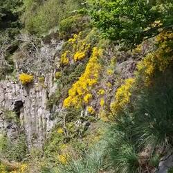 Cascade des Mortes de Guéry