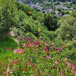 Le village de Mont-Dore