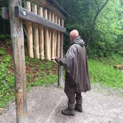 Musik des Waldes...😝