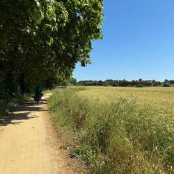 Heute mit 76km Strecke und wenig Höhenmetern.