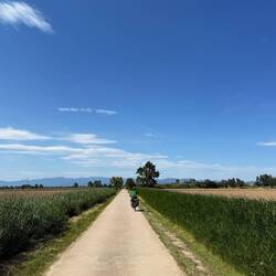 Weit hinten sieht man die Ausläufer der Pyrenäen, über die wir die nächste Etappe fahren.