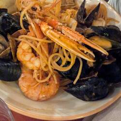 Arielles Freunde sind alle am Start