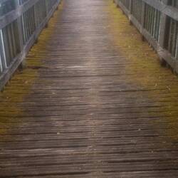 Alter morscher Aussichtspunkt