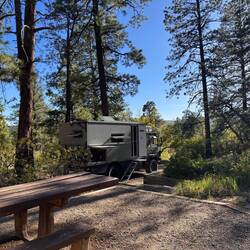 Target Tree Campground...