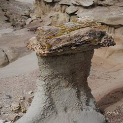 versteinerter Baumstamm
