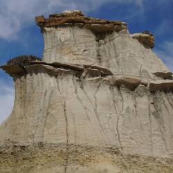 Da ist ganz links ein riesiges Nest drauf