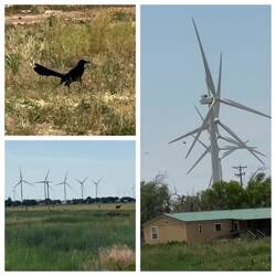 und die äußerst vielen Windräder von gestern gibt es nun nicht mehr