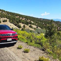 Auf dem Cottonwood Pass