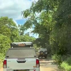 Ton an! Wasserballett mit Dvoraks 8.Sinfonie!