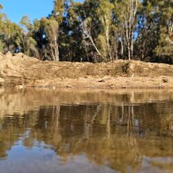 Murrumbidgee River, Darlington Point
