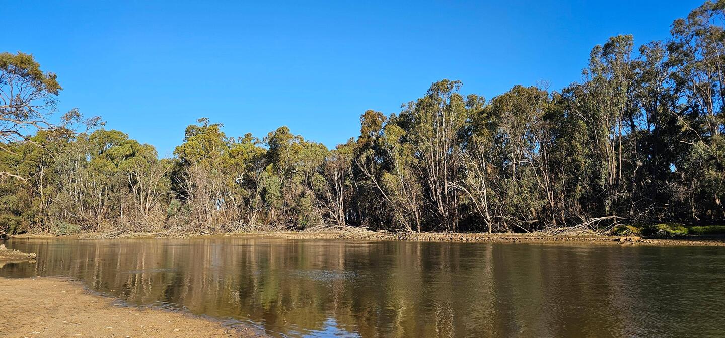 Murrumbidgee River, Darlington Point