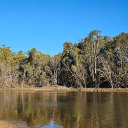 Murrumbidgee River, Darlington Point
