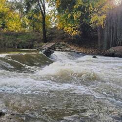 The Lachlan River, Forbes