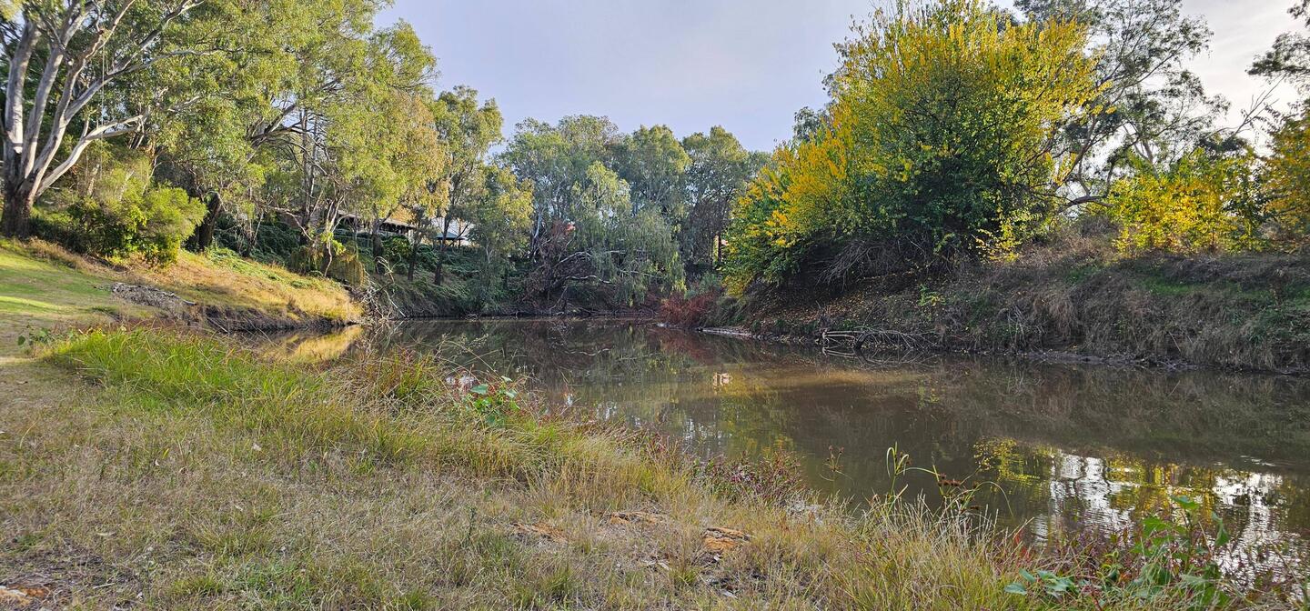 The Lachlan River, Forbes
