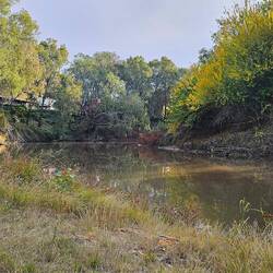 The Lachlan River, Forbes
