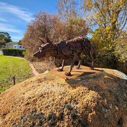 Kelpie statue in Stewart Park, Ardlethan