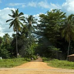 ...hinter der Bahn geht's weiter... ...in den Dschungel hinein ihr PS-Ross-Reiter 😅