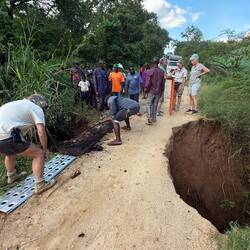 Holz! Der Baum! Die Lösung! Aber wird's halten?