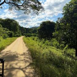 Auf dem Weg nach Lumuma! Ein Landschaft, eine Dschungel, perfekt für Tarzan&Jane!