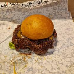 My 1st burger since start of april