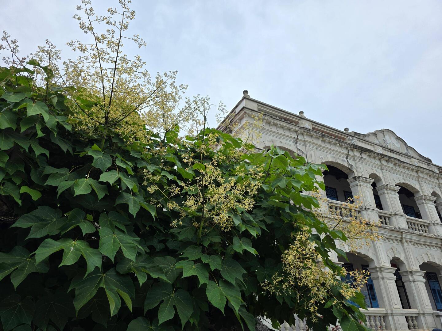 陳景蘭洋樓, Kinmen