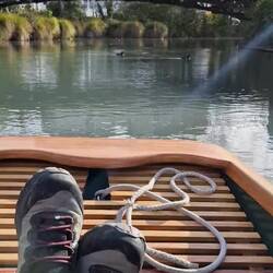 Very peaceful and enjoyable ride in the punt on the river