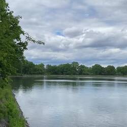 Jazz out in the park