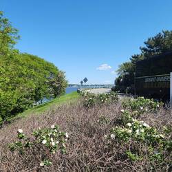 View from the Library