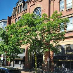 Theodore Parker Memorial Hall