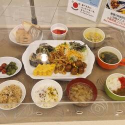 Fake Food japonesa