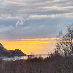Botnhamn