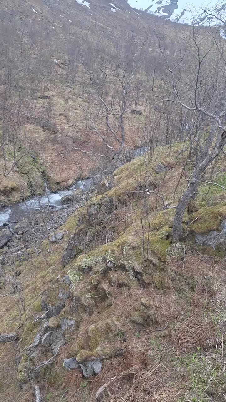 Von hinten