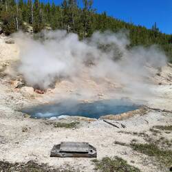 Beryl Spring - eine der heißesten