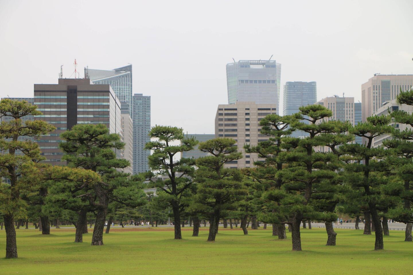 Tokyo im der Grünanlage von Kaiserpalast
