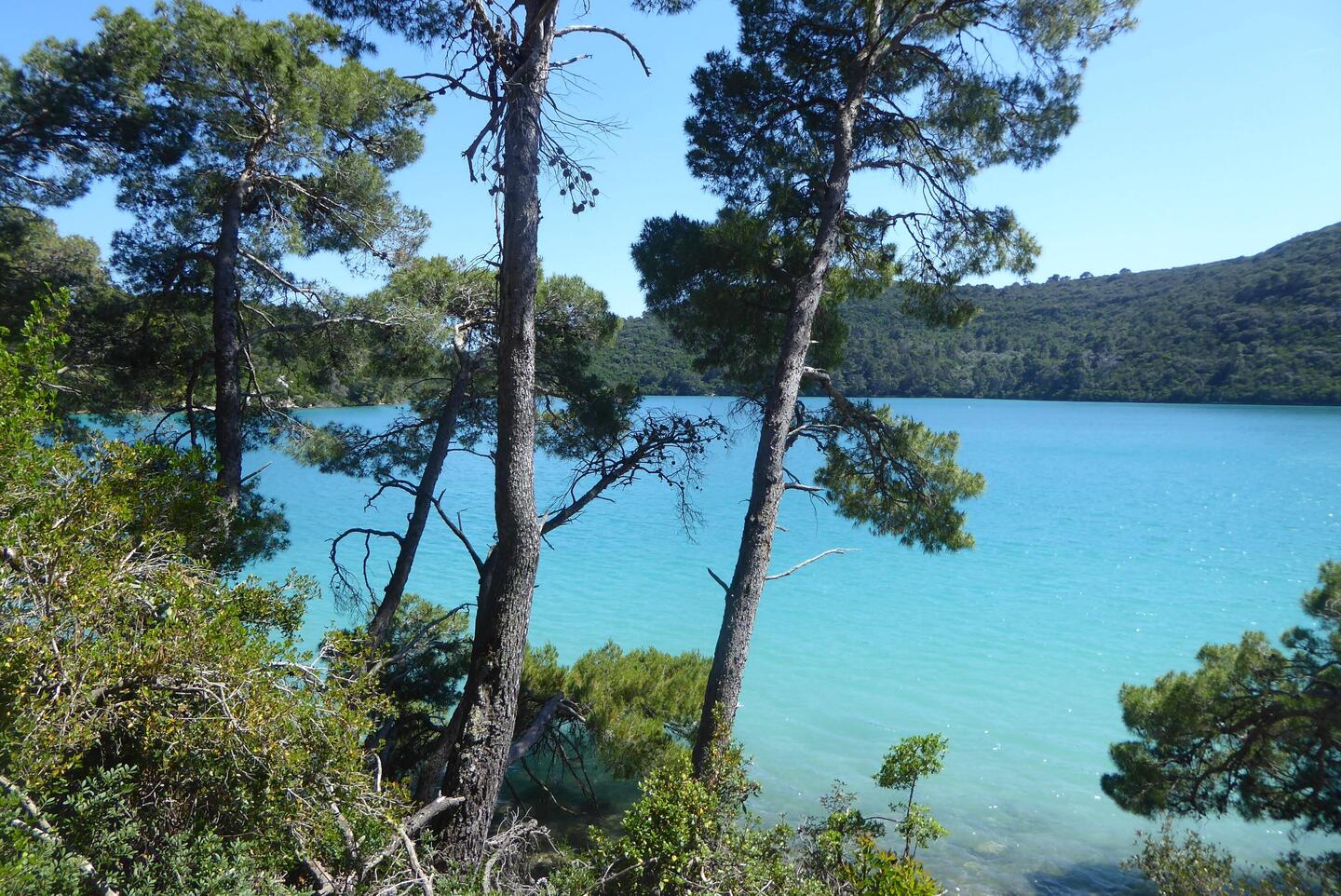 Beautiful small lake