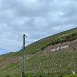 Es geht durch die ersten Weinberge