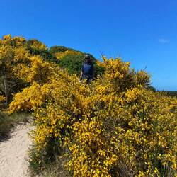 Der Abstieg runter zwischen den Dünen