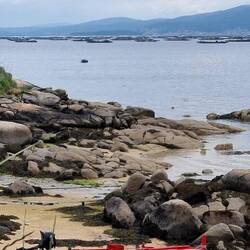 Im Hintergrund keine Kriegsschiffe sondern Plattformen für die Muschelzucht