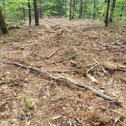 ...und das soll der Weg sein???