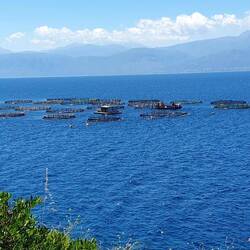 Irgendetwas wird da gezüchtet. Wir nicht die einzige Anlage ihrer Art