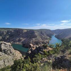 ☝️🚶🏼‍♀️