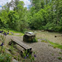 der Jenbach bei Bad Feilnbach