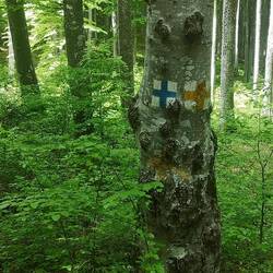 Markierungen